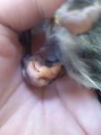 post-71654-1500637815_thumb.jpg