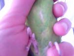 post-71787-1498823276_thumb.jpg