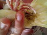 post-71802-1498914296_thumb.jpg