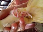 post-71802-1498914329_thumb.jpg