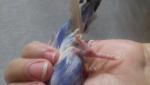 post-71951-1499683630_thumb.jpg