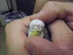 post-72167-1500925041_thumb.jpg