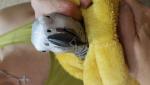 post-72200-1501579296_thumb.jpg