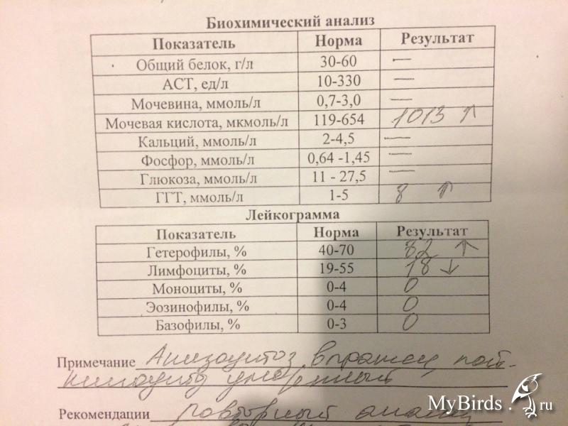 Сдать анализы ребенку