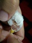 post-72307-1501613300_thumb.jpg
