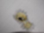 post-72314-1501785896_thumb.jpg