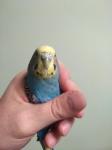 post-72416-1502219418_thumb.jpg