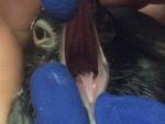 post-72442-1502380176_thumb.jpg