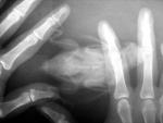 post-72451-1502464225_thumb.jpg