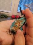 post-72579-1503238308_thumb.jpg