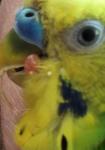 post-72654-1503665730_thumb.jpg