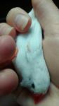 post-72697-1503914737_thumb.jpg
