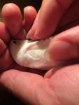 post-72697-1503944940_thumb.jpg