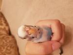 post-72717-1504044400_thumb.jpg