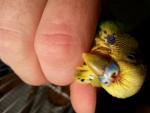 post-72773-1506866761_thumb.jpg