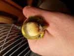post-72773-1507140769_thumb.jpg