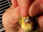 post-72773-1507223052_thumb.jpg