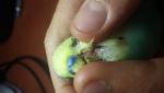 post-72830-1504807553_thumb.jpg