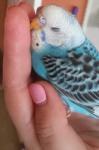 post-72965-1506593618_thumb.jpg