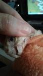 post-72985-1509653268_thumb.jpg