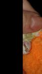 post-72985-1509653316_thumb.jpg