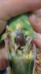 post-73045-1506531173_thumb.jpg