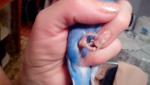 post-73128-1507393435_thumb.jpg
