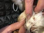 post-73154-1509040176_thumb.jpg