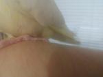 post-73194-1507866095_thumb.jpg