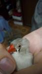 post-73211-1508014846_thumb.jpg