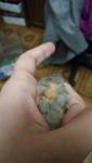 post-73211-1508014875_thumb.jpg