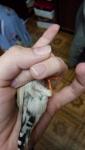 post-73211-1508014885_thumb.jpg