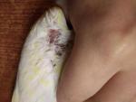 post-73247-1508790184_thumb.jpg