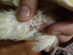 post-73247-1508790192_thumb.jpg