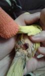 post-73285-1508694564_thumb.jpg