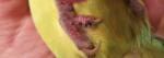 post-73344-1509258226_thumb.jpg