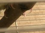 post-73380-1509536729_thumb.jpg