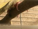 post-73380-1509536733_thumb.jpg