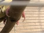 post-73380-1509627886_thumb.jpg