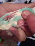 post-73381-1509548649_thumb.jpg