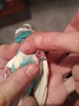 post-73381-1509548897_thumb.jpg