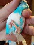 post-73381-1509617712_thumb.jpg