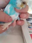 post-73381-1509617772_thumb.jpg