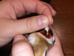 post-73436-1510081336_thumb.jpg