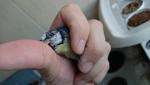post-73445-1510221253_thumb.jpg