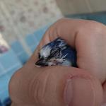 post-73445-1510221283_thumb.jpg