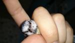 post-73445-1510222023_thumb.jpg
