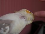 post-73452-1510647542_thumb.jpg