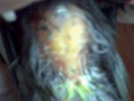 post-73463-1510556867_thumb.jpg