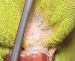 post-7727-1171996533_thumb.jpg